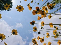 -济南国际园博园