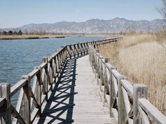 -野鸭湖国家湿地公园