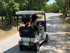 -上海海湾国家森林公园