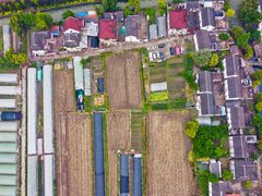 -青浦采草莓天天草莓园