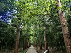 -同里国家湿地公园