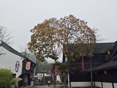 -鲁镇