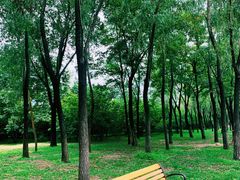 -森林公园(尖草坪区)
