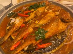 -松花湖水饺(新濠天地店)