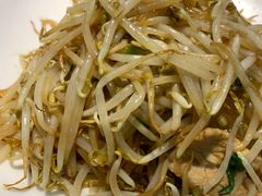 笨豆芽炒粉条-苏师傅菜馆(上沙店)