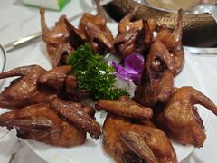-鸽鸟轩(石岐店)