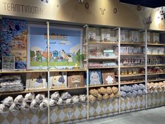 -IPSTAR|潮玩星球(天府广场店)