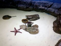 -多彩贵州城极地海洋世界