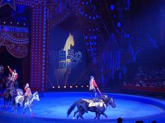 -珠海横琴长隆《卡卡虎奇遇记》