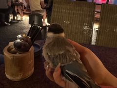 -毛辣果·酸(OHA复兴西路店)