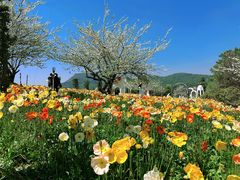 -名花谷生态庄园