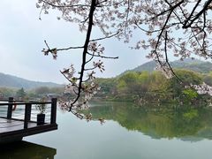-白马涧龙池景区