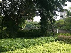 -晓港公园