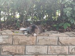 -人民公园(罗湖区)