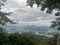 -风云岭森林公园