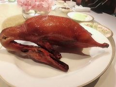 -唐阁(香港朗廷酒店)