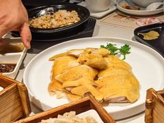 白切鸡-悦满楼·西关名点·湛江名菜(航空综合大厦店)