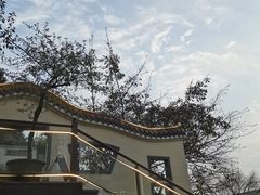 -老幺泉水鸡