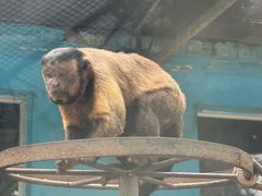 -秦皇岛野生动物园