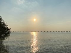 -宝安西湾红树林湿地公园