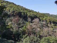 -东山风景区(洞庭东山)