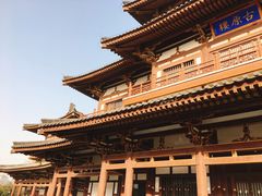 -西安青龙寺遗址景区