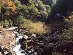 -龙湾潭国家森林公园