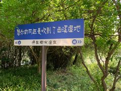 -西溪国家湿地公园