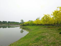 -东郊湿地公园
