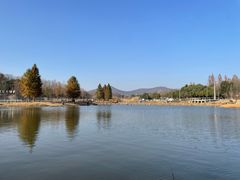 -佛手湖郊野公园