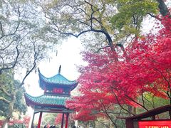 -岳麓山风景名胜区