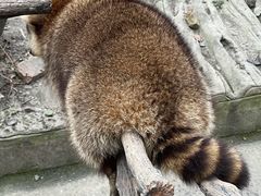 -常州淹城野生动物世界
