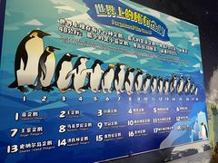 -珠海长隆海洋王国