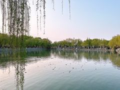 -百花洲