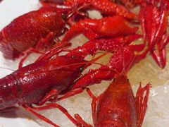 -红盔甲·小龙虾(车公庙店)