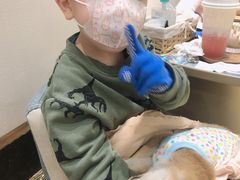 -逗柴咖啡屋·狗咖猫咖宠物桌游