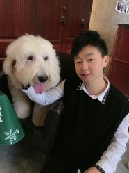 点击看大图 -十六番发型师事务所