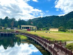 -海南热带雨林国家公园吊罗山景区