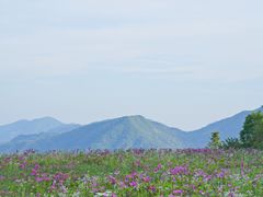 -江南天池