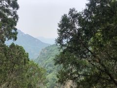 -北京上方山国家森林公园