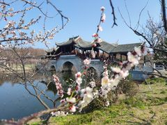 -上海海湾国家森林公园