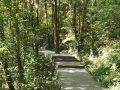 -武隆天坑寨子景区
