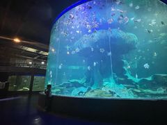 -龙谷湾旅游休闲度假区