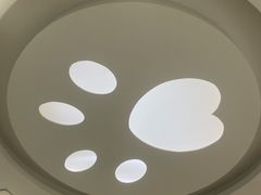 -纳吉亚猫专科动物诊疗中心(蒋宅口分院)