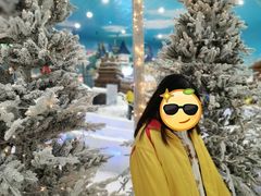 -世界之窗阿尔卑斯冰雪世界