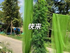 -北仑森林植物园