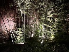 -景德镇陶阳里历史文化旅游区