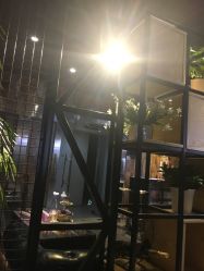 点击看大图 -藤野造型