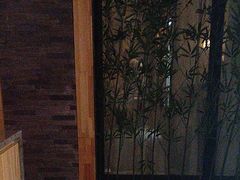 -星河湾温泉洗浴酒店