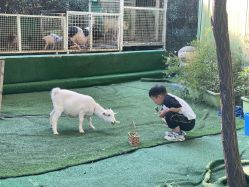 -可可天空农场(中大店)